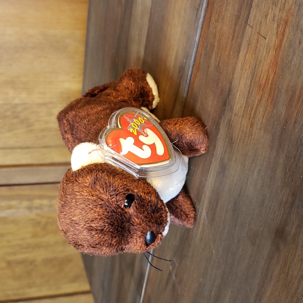 Ty RUNNER the Ferret Beanie Baby